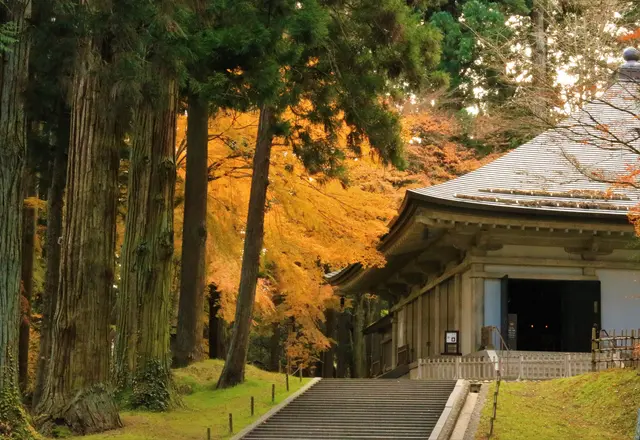 世界遺産 平泉